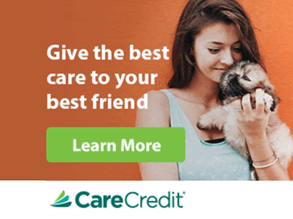 Links of Interest  Best Friends Veterinary Care