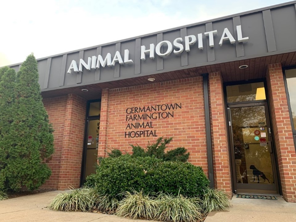 Twistmark Media Network › Germantown Farmington Animal Hospital